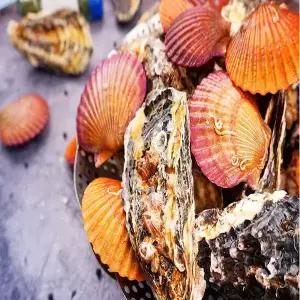 통영 세척 홍가리비 2kg+석화2kg 세트