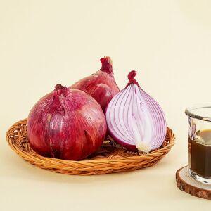 무안 햇살담은 자색양파즙 (120ml X 100포)