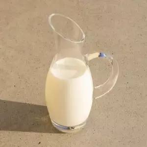 [텐바이텐]기본형 소믈리에 손잡이형 와인디켄터 1개