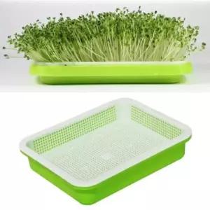 새싹키우기 새싹 콩나물 채소 식물모종 수경트레이(색상임의발송)