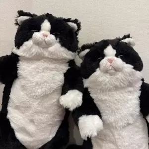 아트박스/콤비니 선레몬 무릎인형 잠자는쓰야쓰야 턱시도 고양이인형