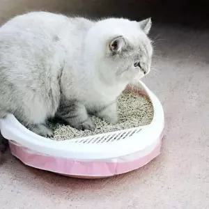 고양이 화장실 봉투 3롤 세트 배변 분변통 모래삽