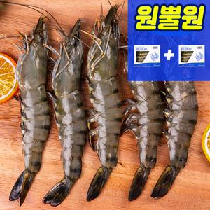 블랙타이거 새우 12미 + 12미