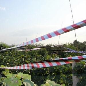 새퇴치 조류퇴치기 비둘기퇴치망 c2