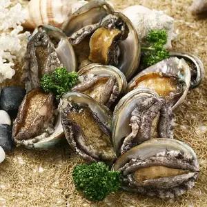 [롯데백화점]인정식탁 청정바다엔 완도 한입 꼬마전복 1kg 1팩 (50-60미) (완도직송,산소포장)