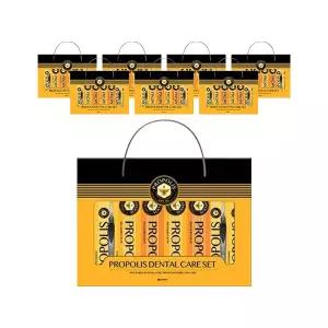 엘지 선물세트 프로폴리스덴탈케어세트, 8개 (1박스)