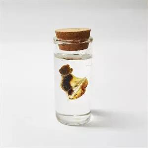 탯줄보관 DIY 세트/아기 손도장 발도장 손발조형물 영남상사