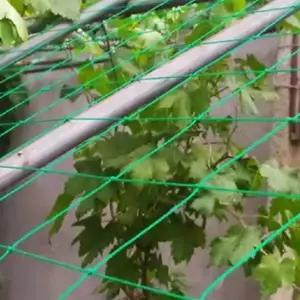 유인망 그물 식물 원예용 포도 농사 정원 지지대 넝쿨울타리 텃밭용품 가드닝소품