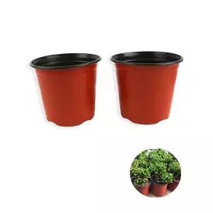 원형 모종화분 중형 플라스틱화분소형 원예화분 모