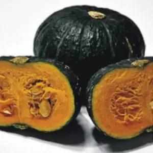 미니단호박 미니호박종자 5립 식용호박씨 식용채소씨앗 씨앗 (WFKBY5Y)