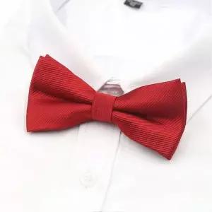 클래식보타이 타이 레드보타이 패션 레트로 레드 레트로무드타이 (WFKC5ST)