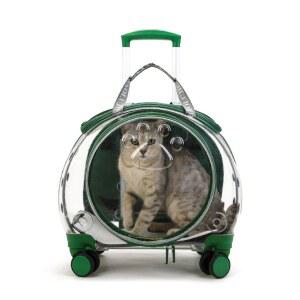 고양이이동장 반려동물 반려견 애완동물 애견 이동가방 산책가방 외출 강아지 산책 투명