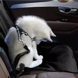 차량용 애완동물 매트 방수 강아지 보호 자동차 애견 깔개