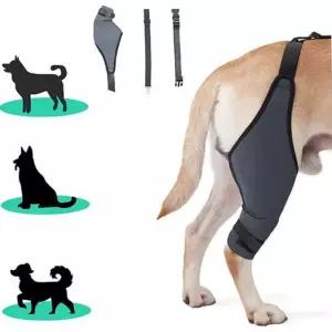 반려견 관절 보호대 뒷다리 무릎 네오프렌 강아지 관절 보호대 애견 밴드 강아지산책 재활용품 슬개골