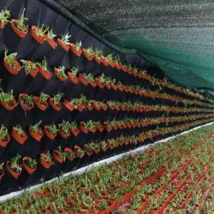 부직포 화분 18포켓 벽걸이 화분앵커 식물파우치 벽식물 모종화분