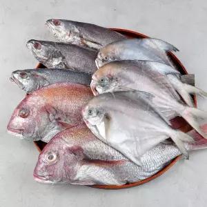 [롯데백화점]팜투맘 반건조생선 세트 8마리 구성(민어3미 병어3미 참돔2미)