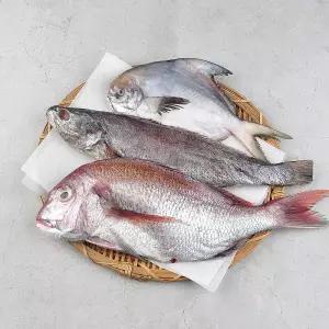 [롯데백화점]팜투맘 반건조생선 세트 3마리 구성(민어1미 참돔1미 병어1미)