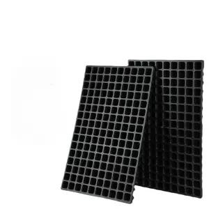 모종 트레이 딸기 상추 파종 판재배 양파 발아 원예 육묘