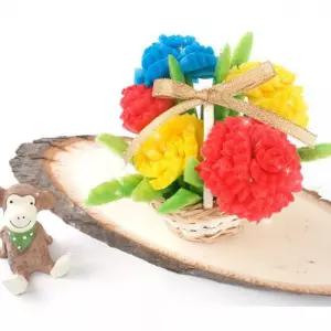 플레이콘 카네이션꽃바구니(5인용)