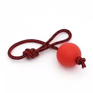 6cm 장난감 X2개 던지기 공 강아지 터그놀이 로프