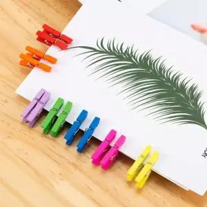 고품질 컬러 미니 나무집게 2.5cm 30P 인테리어집게 꾸미기집게 (WFKIIYV)