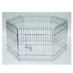 아델라 6각 운동장 (중)