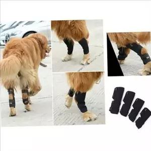 강아지 무릎 보호대 슬개골 지지대 반려견 재활용품