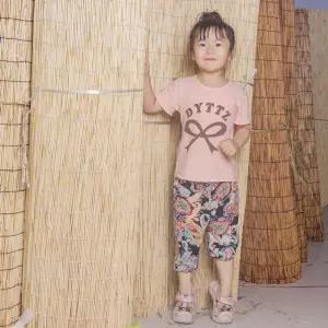 갈대 문발 대형 매트 대나무발 나무발 담벼락 바닥 롤