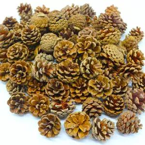 솔방울 중 1kg크리스마스장식 데코 트리 대용량 소품