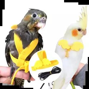앵무새집 앵무새 반려새 하네스 발목링 산책 리드줄