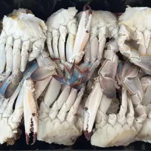 국내산 절단 손질 꽃게 800g