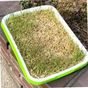 새싹 재배 용기 미니 텃밭 화분 실내 정원 가정용 식물 재배기