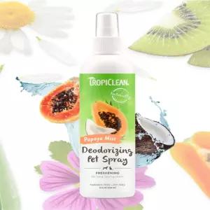 반려견 파파야 미스트 펫스프레이 236ML 강아지냄새