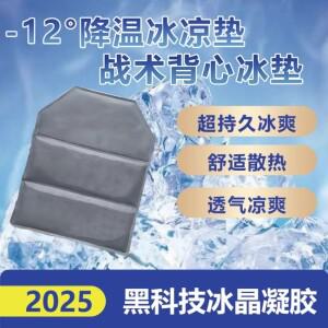 범용 여름 아이스 패드  내장 삽입 플레이트 내부 라이너 방열용 조끼