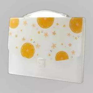 케이스 13칸 3p세트 파일백 레몬 도큐먼트