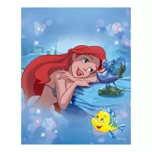 [아트박스]/하비스스퀘어 디즈니 인어공주 보석십자수 캔버스 40x50cm DBS021