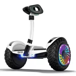 대리기사 두발 전동휠 이륜 호버보드 휴대용 경량