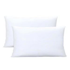 베개 인서트 세트 2개 실내 커버가 스터퍼 세트 침대 소파용 있는 100 소파 베개 흰색 장식용 12X20