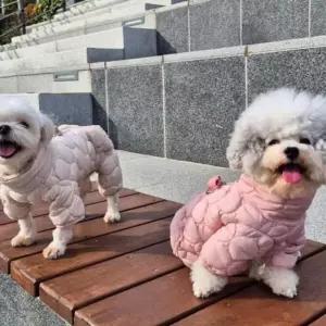 [라일리여성의류] Rly 강아지 겨울 포켓 올인원 방한 산책 점퍼 패딩