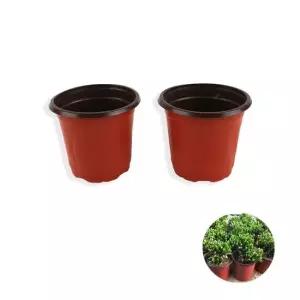 소형 원형 화분 식물 재배 모종 화초 원예용 모종화분 원예화분 이색포트소형