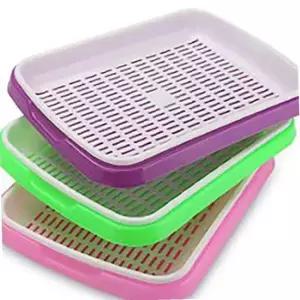 새싹재배기 트레이 색상 식물