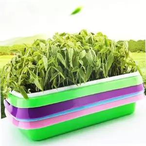 식물재배기 촘촘 새싹 재배기