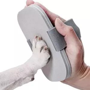 반려견 강아지 발톱 갈이 연마 강아지 발톱 케어 네일 정리