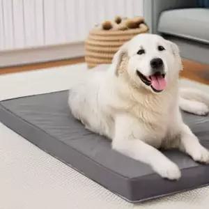 사계절 펫 반려동물 미끄럼방지 쿠션 매트 초특대형 강아지용품