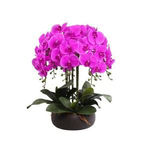 서양난 조화 화분 가짜꽃 행운 사무실 선물 개업 승진 나무