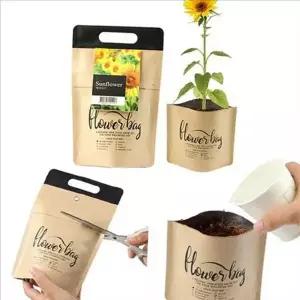 새싹 해바라기 씨앗 세트 식물 해바라기 키우기 키트 재배