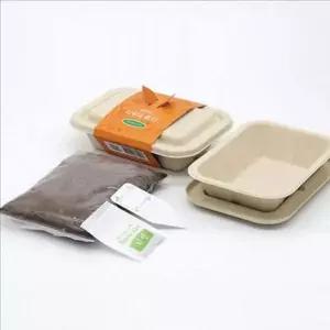 어린이 다채 새싹 키트 재배 다채 모종 키트 키우기 체험