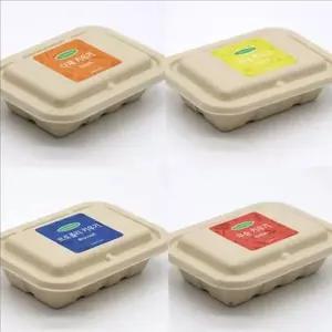 초등 새싹 채소 키우기 브로콜리 새싹 재배 키트 씨앗 식물