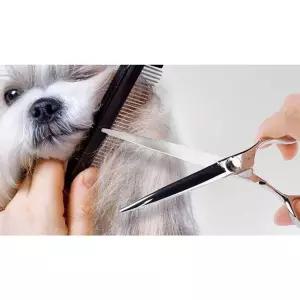 애견 미용 가위 7in 셀프 스타일링 일자 강아지 얼굴 다리 손질