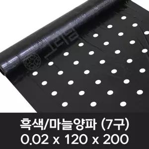 흑색 유공비닐 마늘/양파 0.02x120x200 7구
